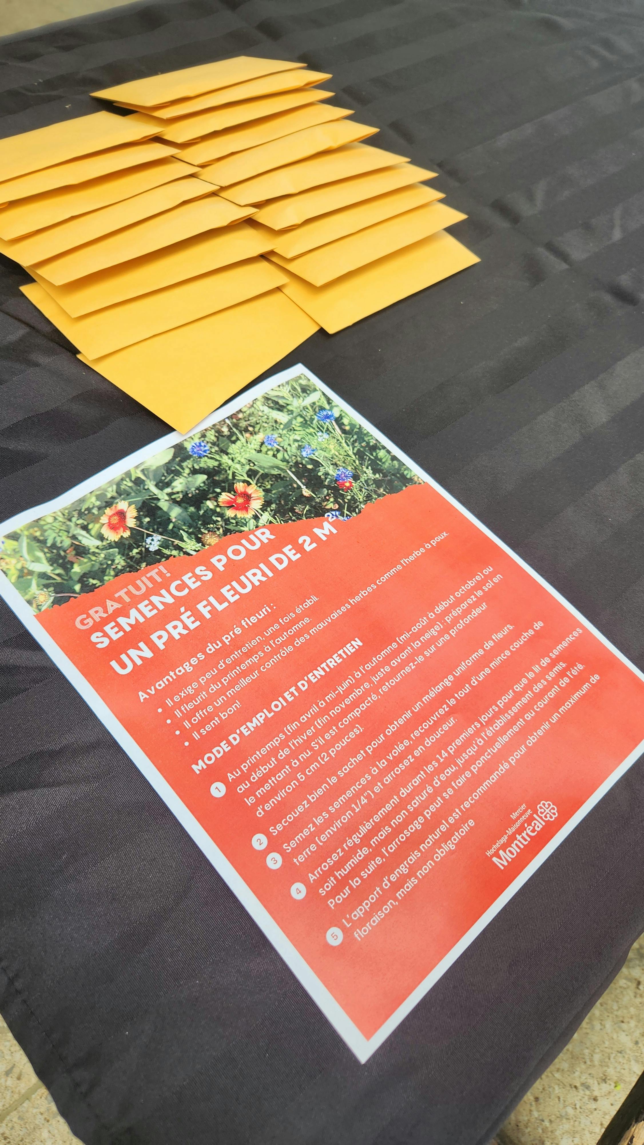 Activité de consultation et de sensibilisation à la biodiversité urbaine au parc Saint-Donat