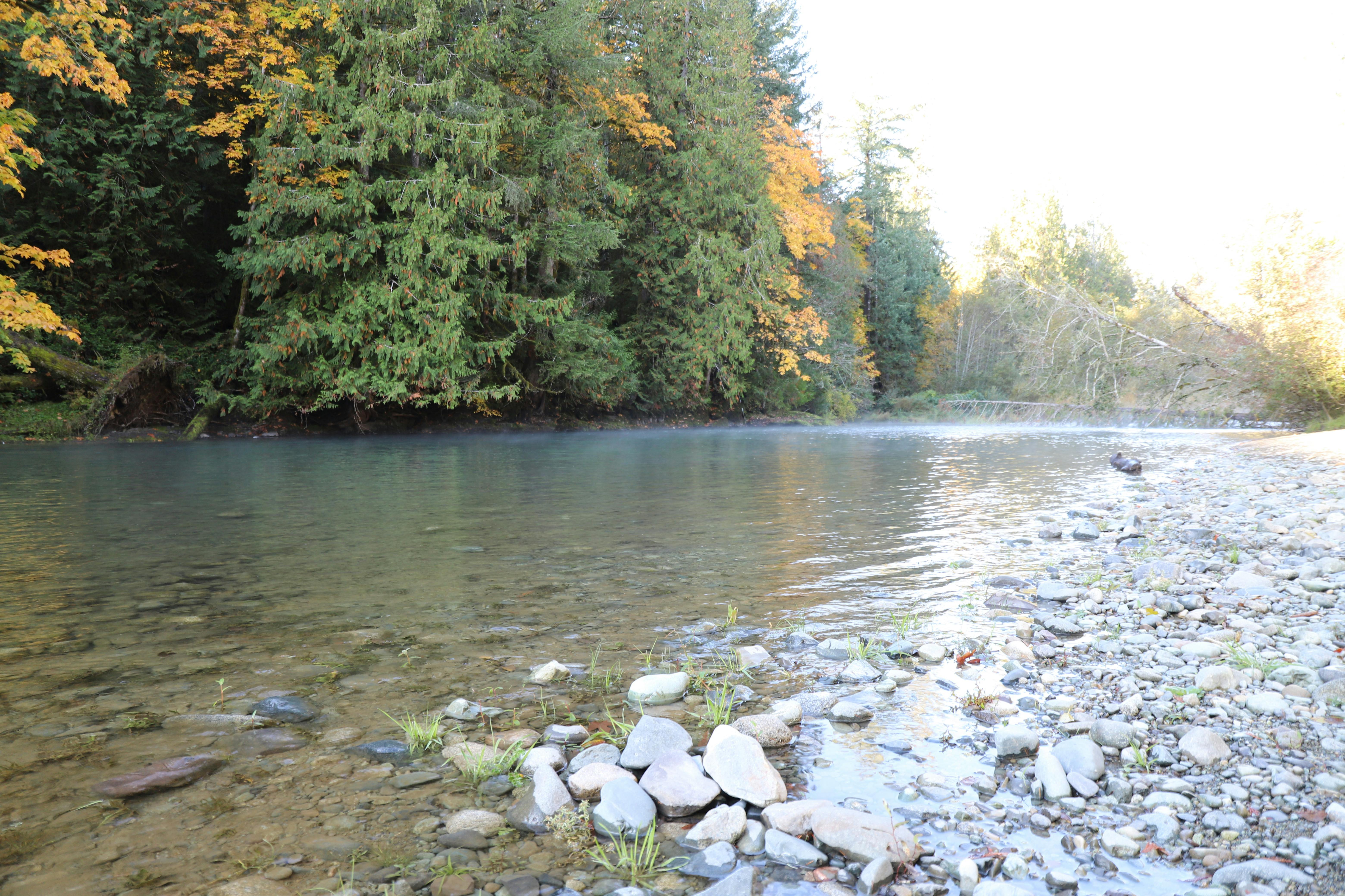 Cowichan River at Sandy Pool Regional Park