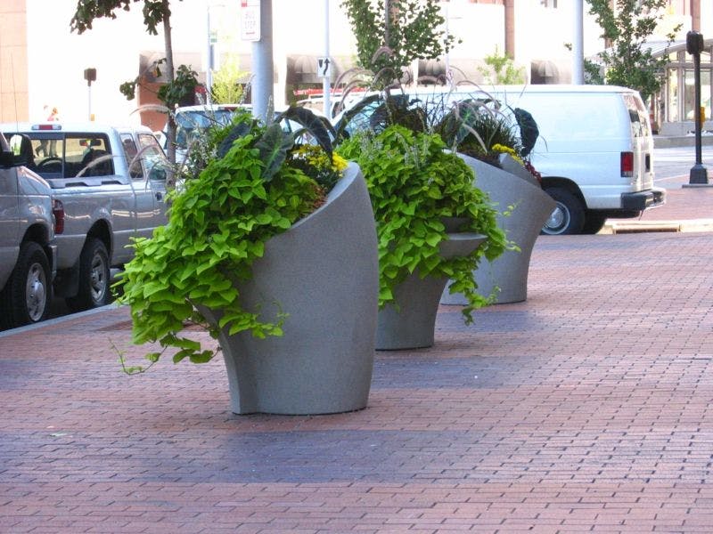 Installation de pots de fleurs