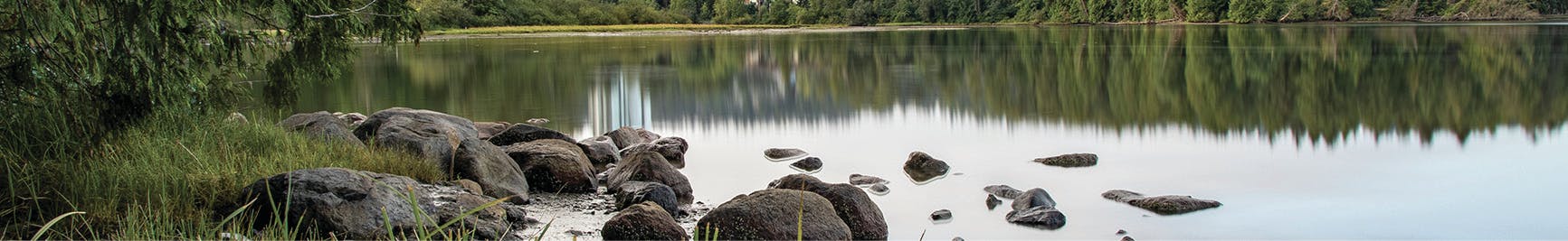 Shoreline tidal flats