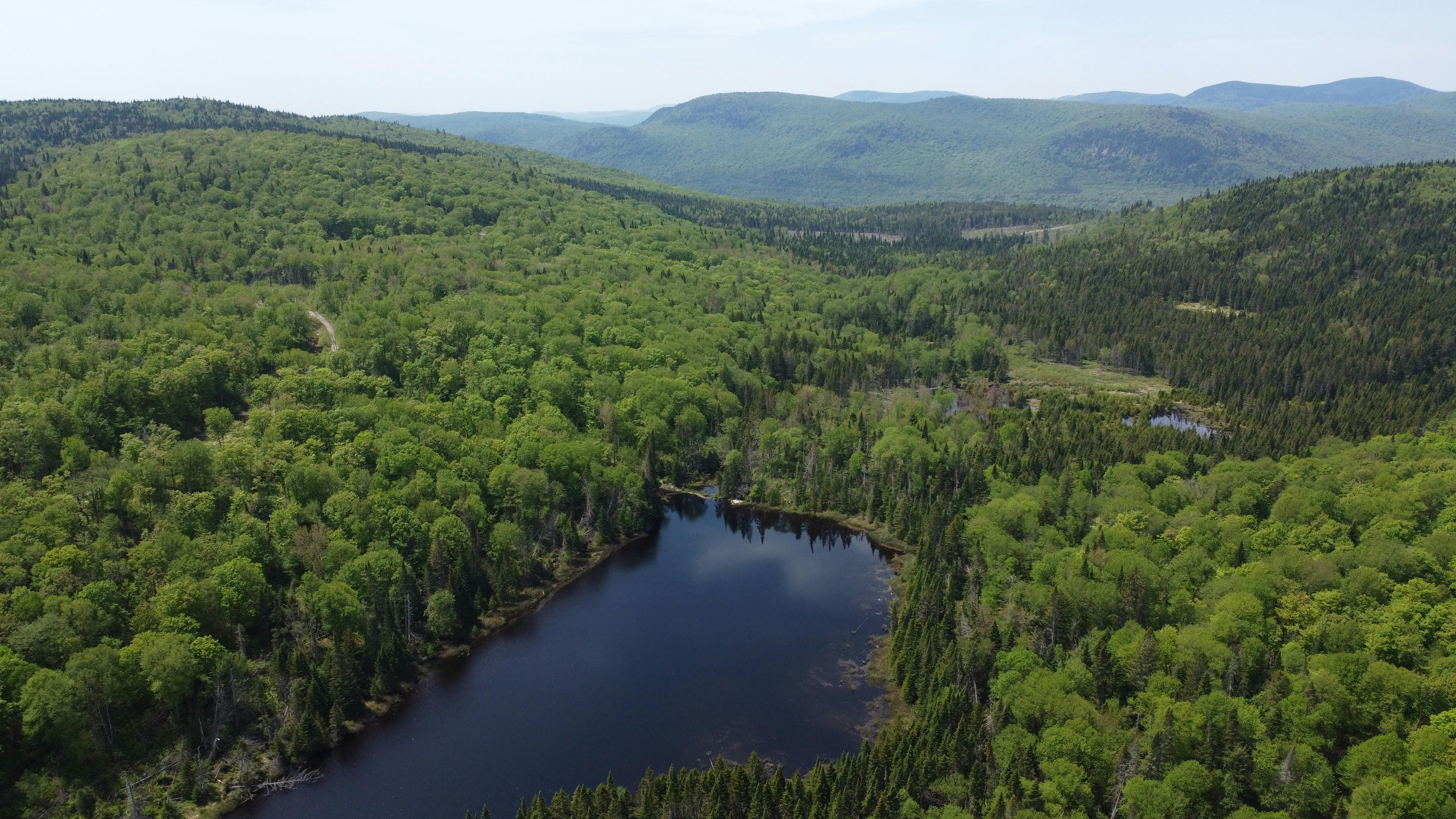 _DJI_0519.JPG