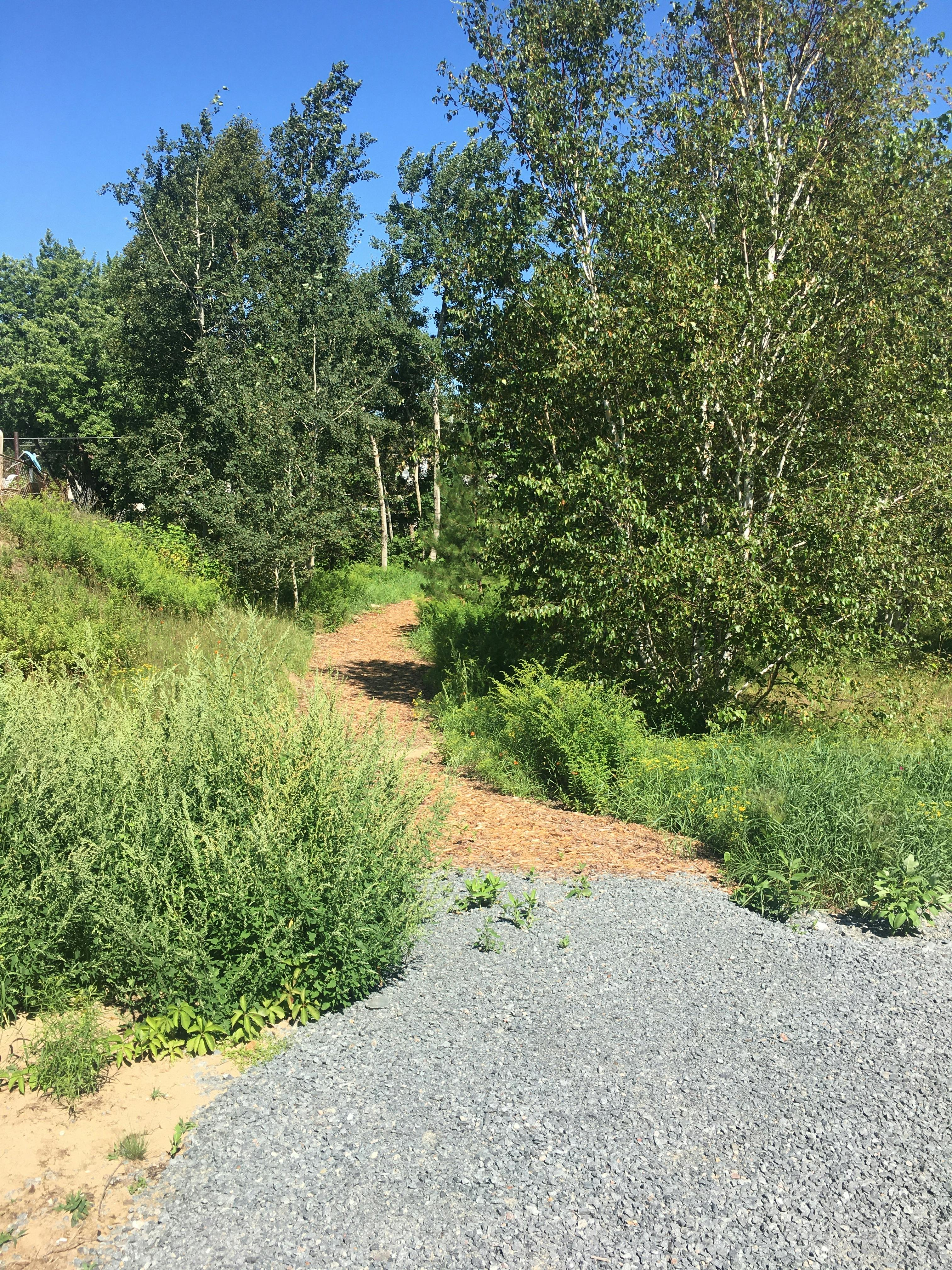 Catherine Park, Garson - AFTER #2