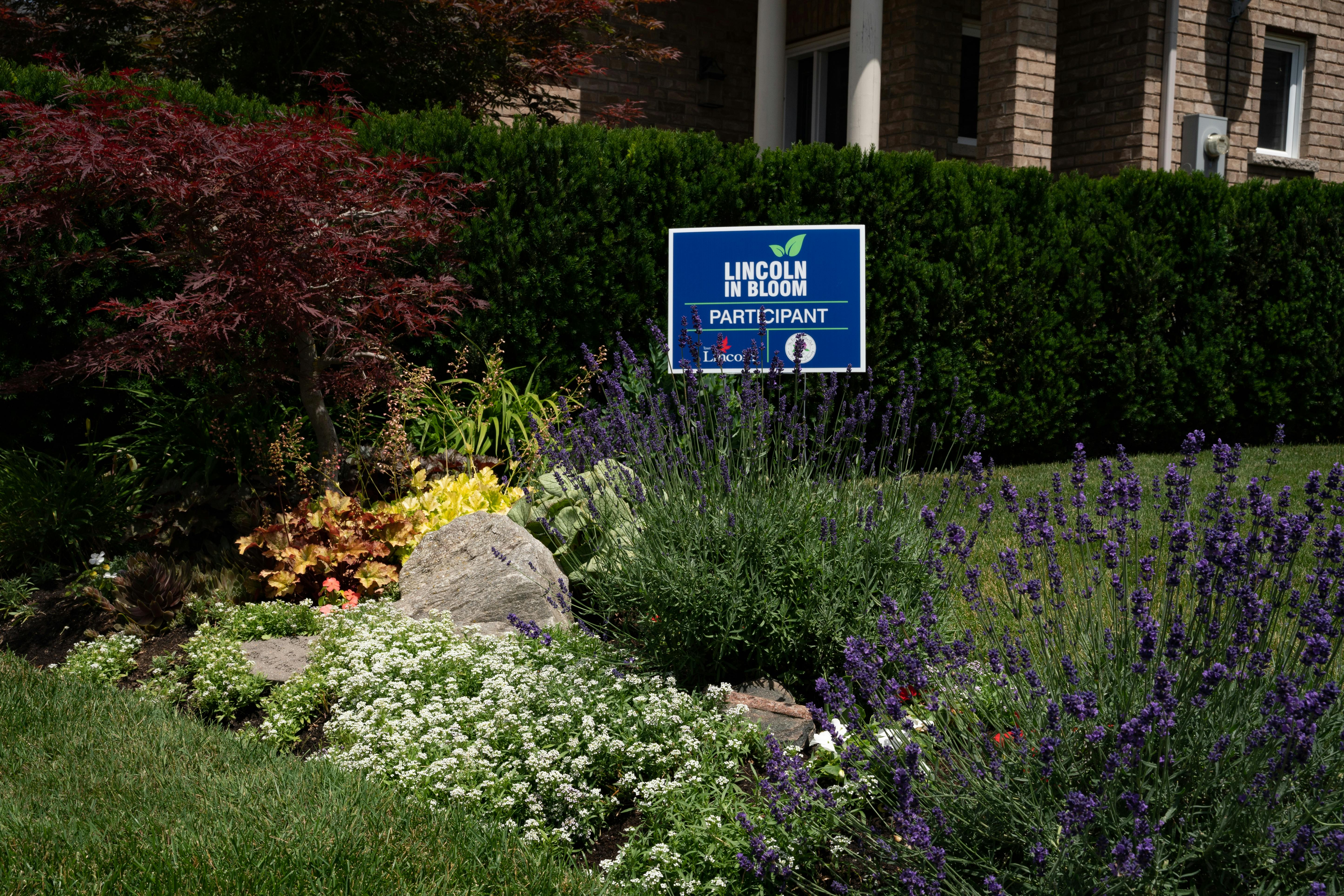  Lincoln in Bloom Garden Contest 2022 | Participant Photo 10