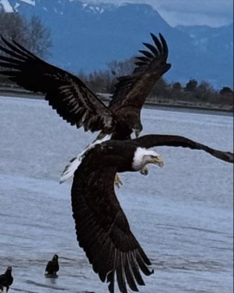 Edmund Jordan - Adult