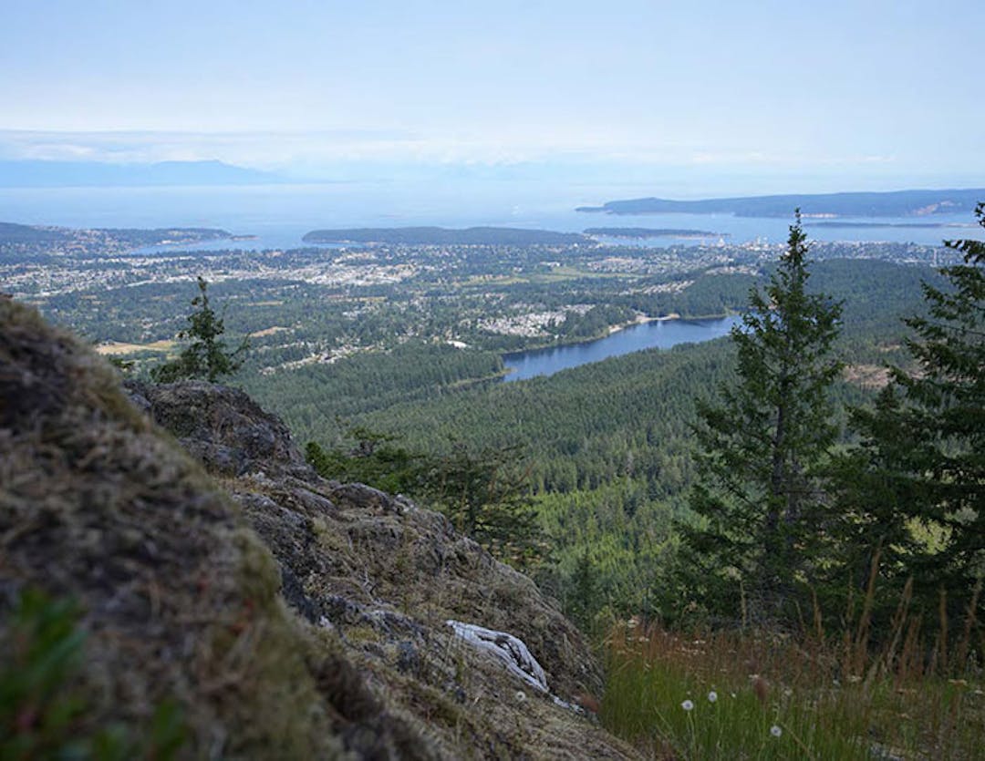 View of Nanaimo from the park