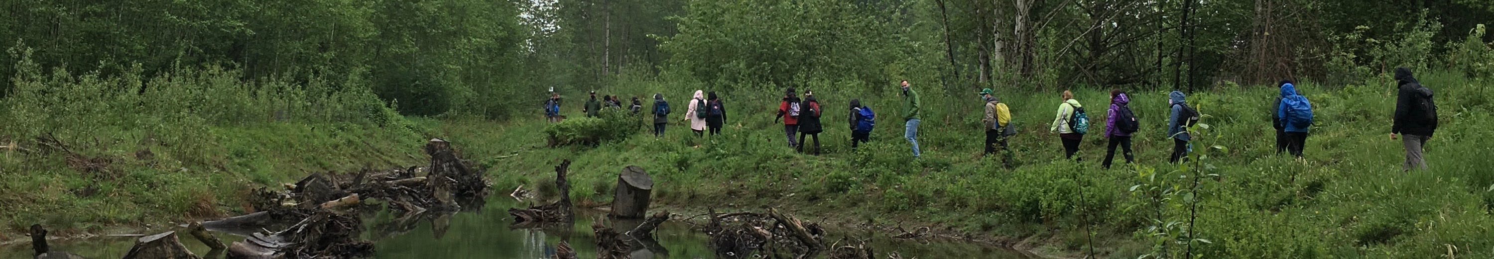 A group of teachers tour Hooge Wetland.