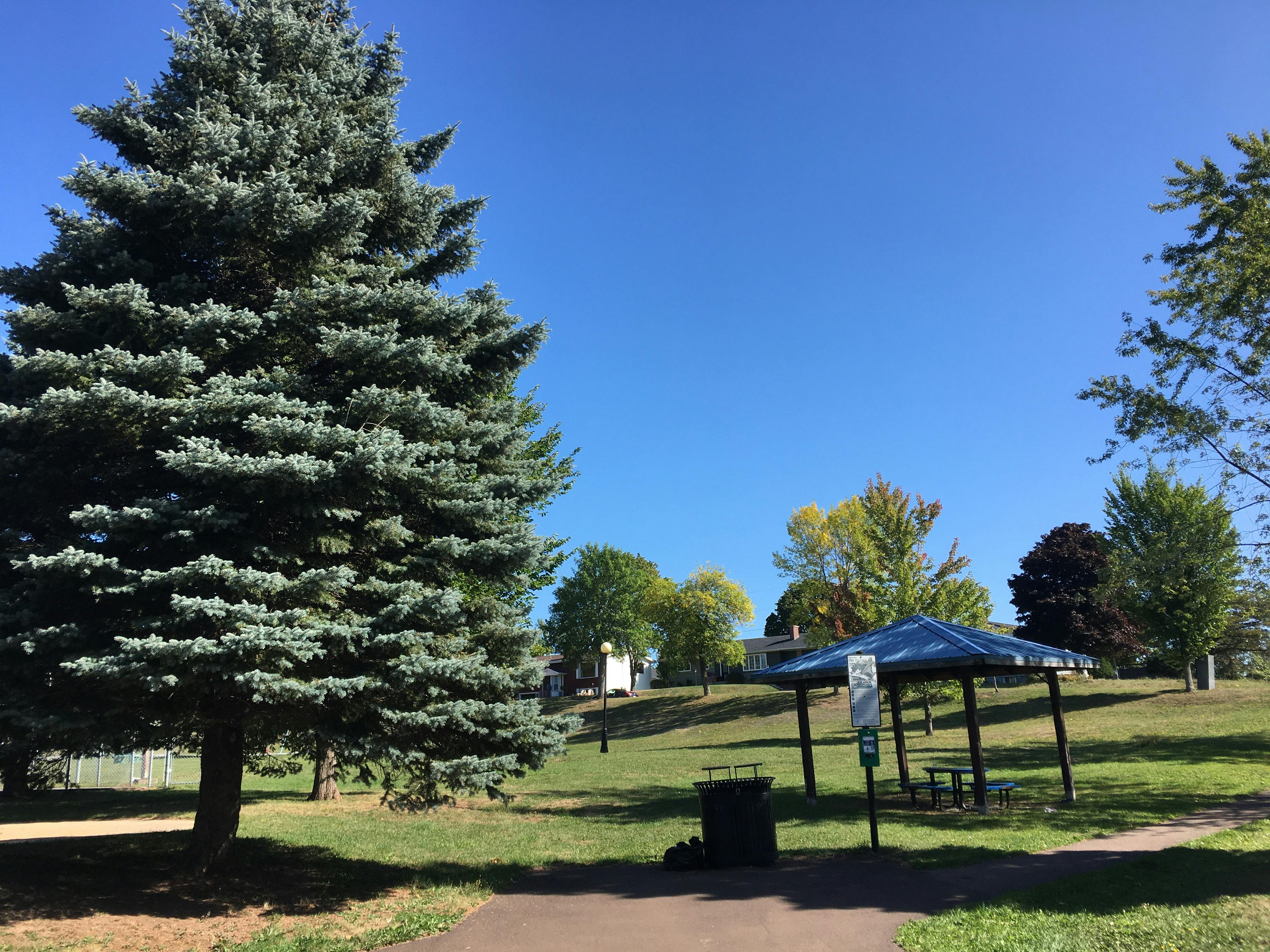 View towards Edgehill Drive