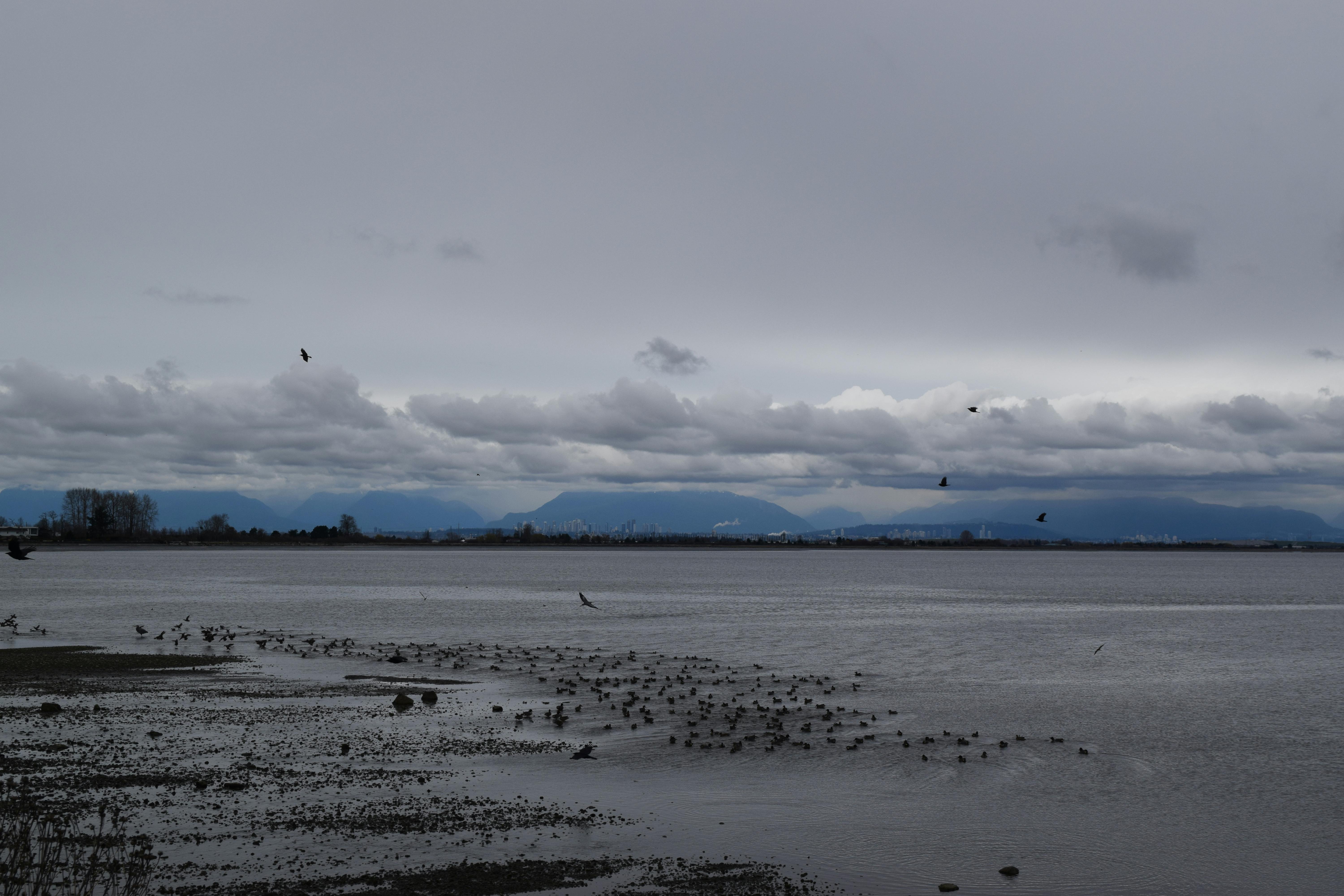 Annaliese Thom - Youth