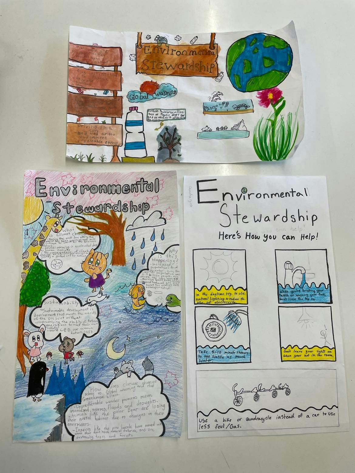 Environmental Stewardship