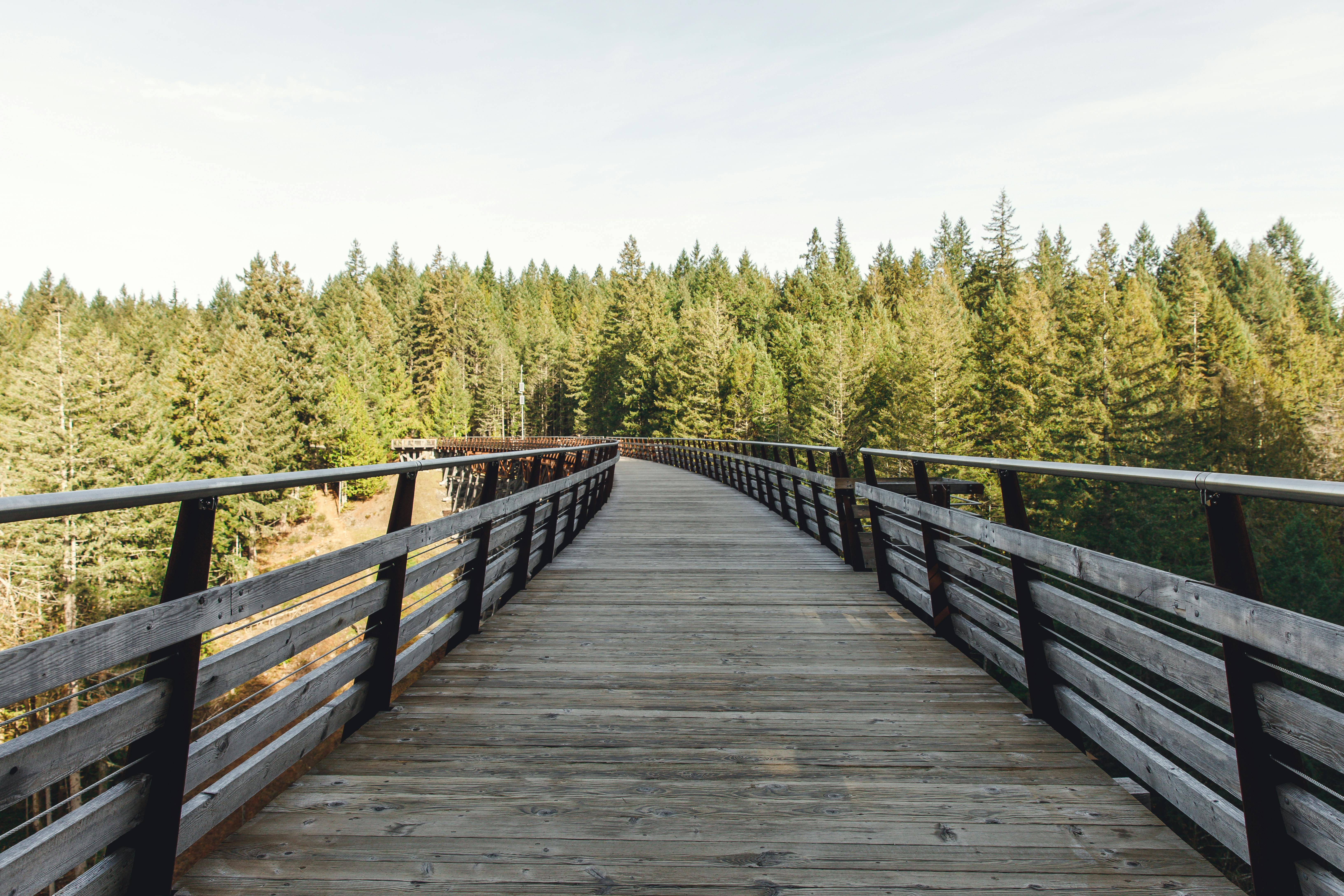 Historic Kinsol Trestle