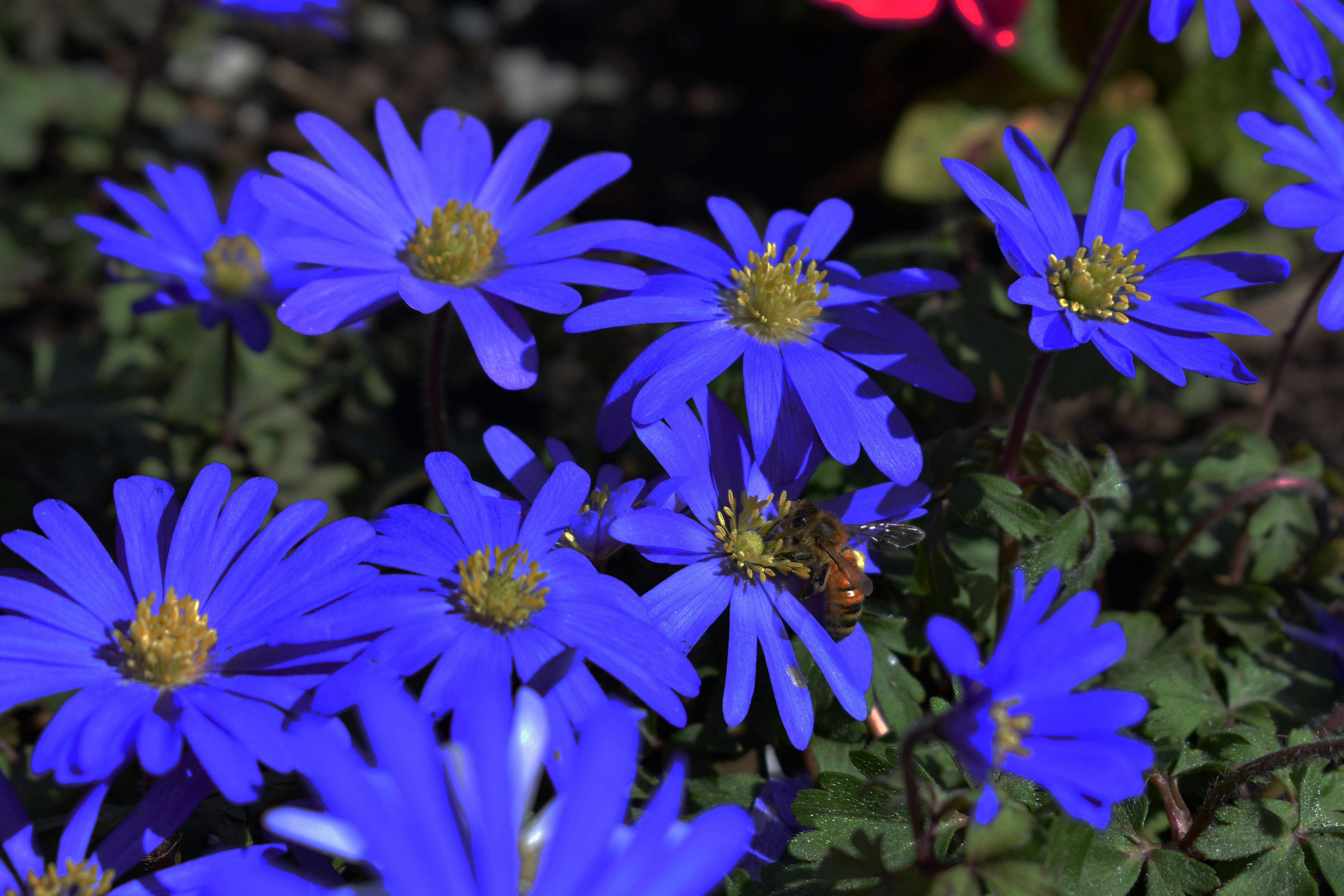 Lucy O'Brien - Youth