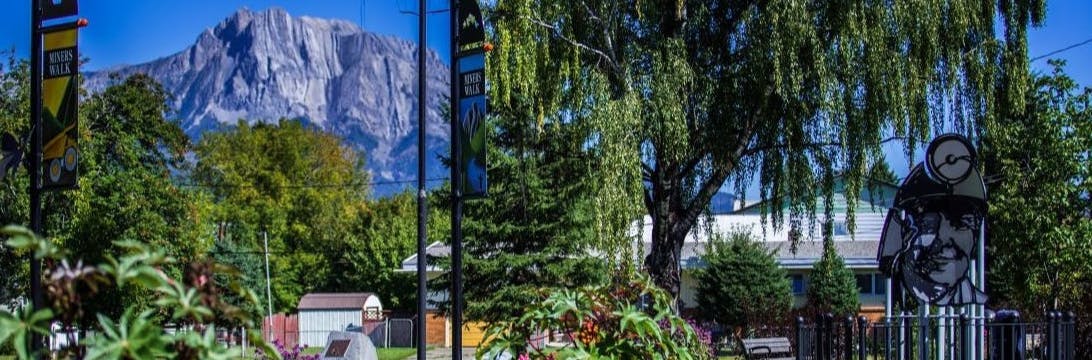 photo of city hall garden with mountain view in the background photo credit Raven Eye Photography