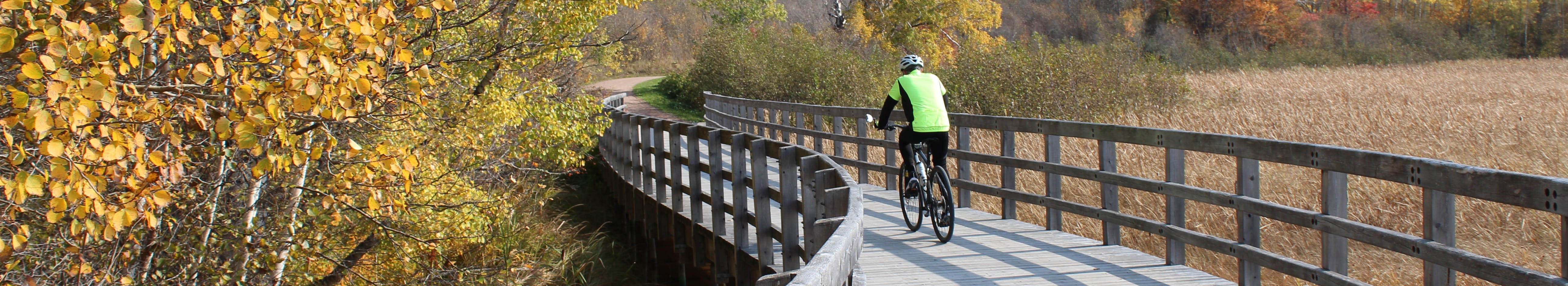 Cycliste sur un trottoir de bois