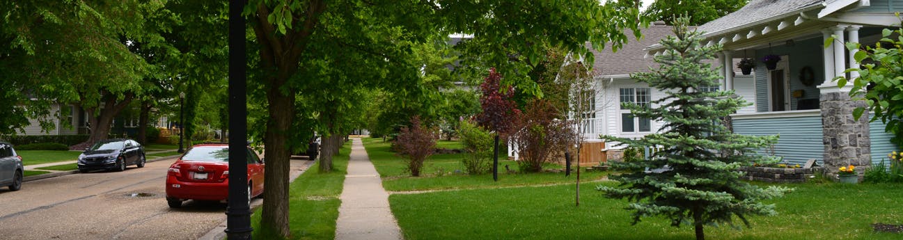 Augustana Area Redevelopment Plan Banner - Image provided by Green Space Alliance