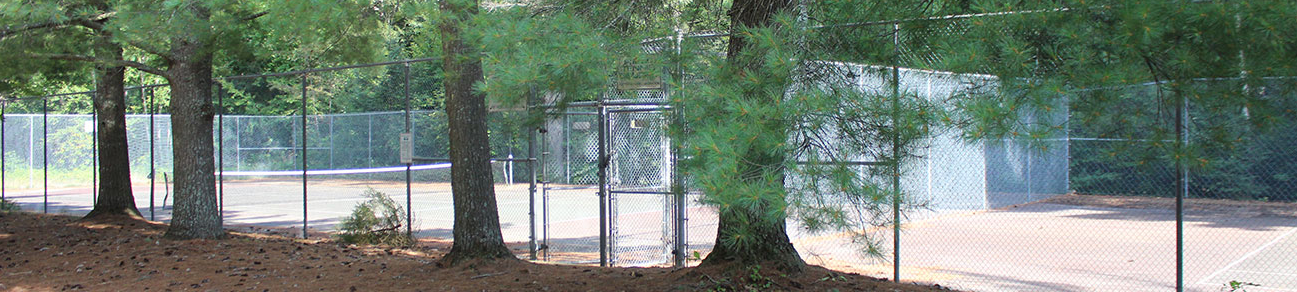 Current view of Clarke Crescent Park tennis courts, in Port Sydney