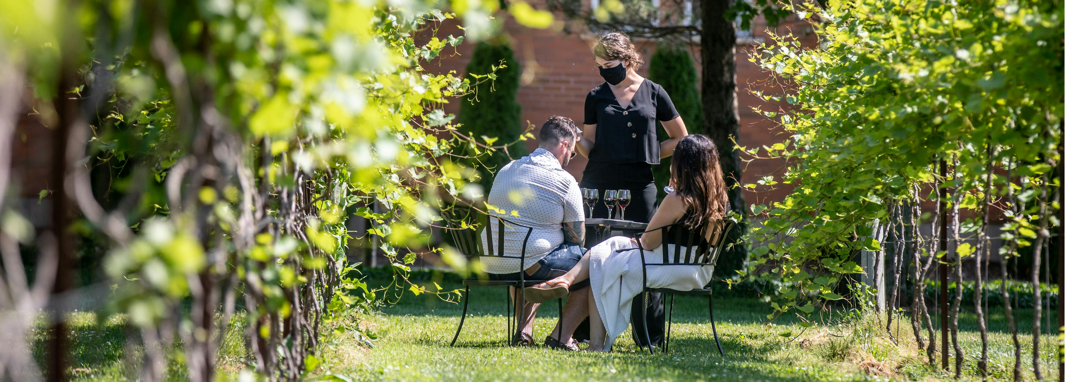 Sampling wine in a vineyard.