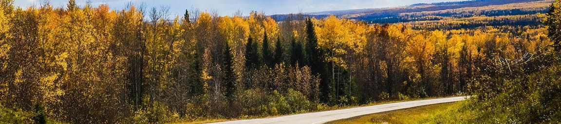 A highway runs through an autumn forest in the Cold Lake sub-regional planning area.