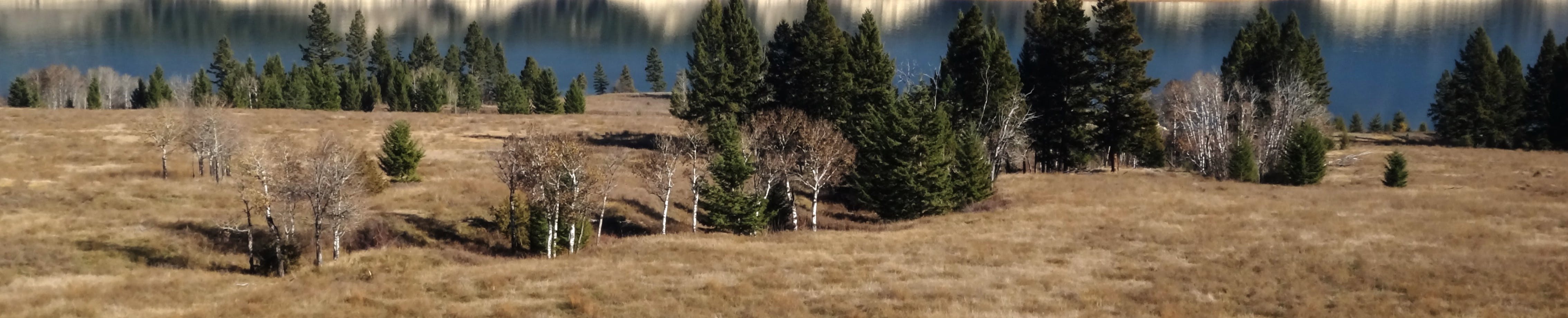 View of Windermere Lake Park's largest grassland bench with the backdrop of beautiful Lake Windermere