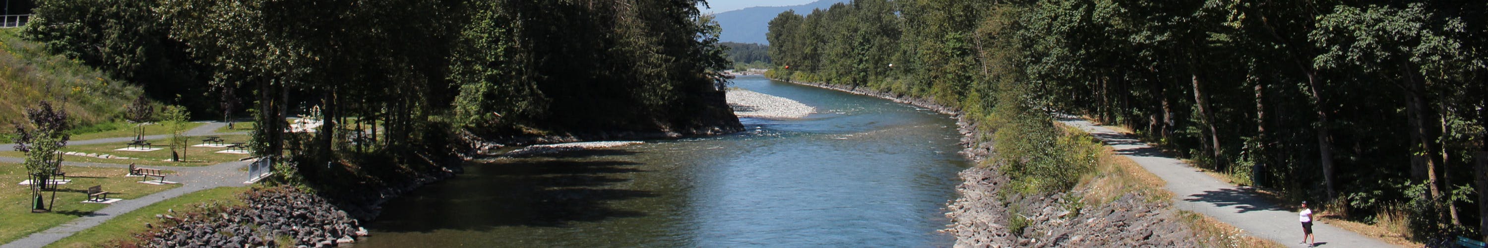 Looking east down the Vedder River. A person in a white t-shirt stands on the Rotary Trail on the right, looking at Crossing Park across the river.