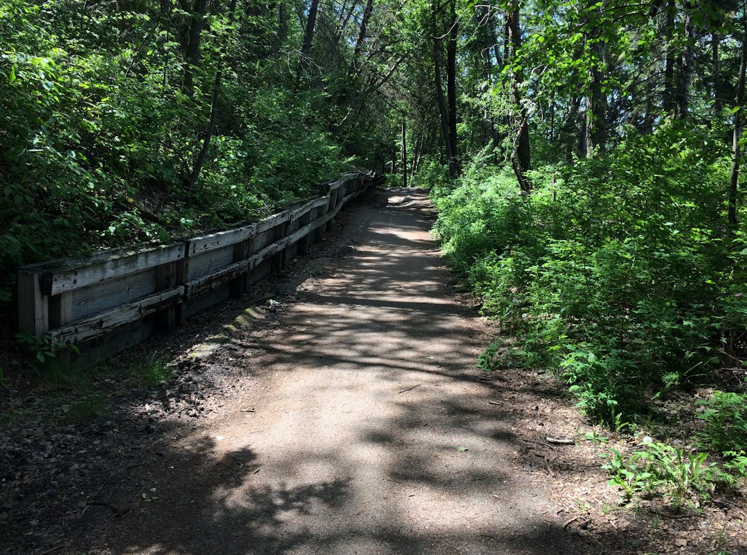 Capilano Bridge Trail (Southwest) Repair Engaged Edmonton