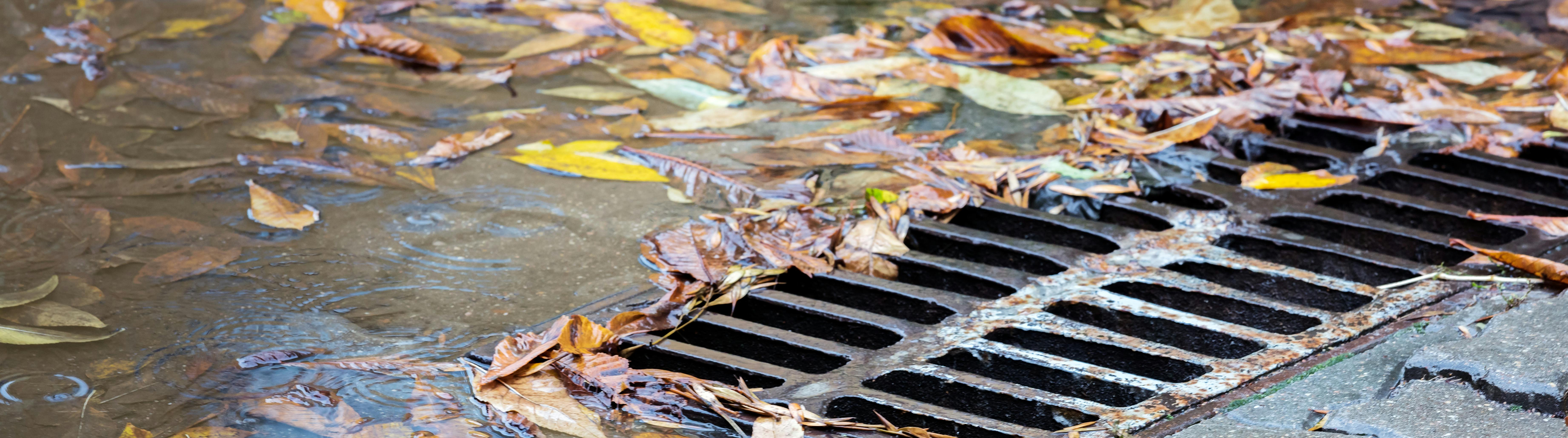 Newly Retrofitted Storm Pond Located at 7315 Yonge Street