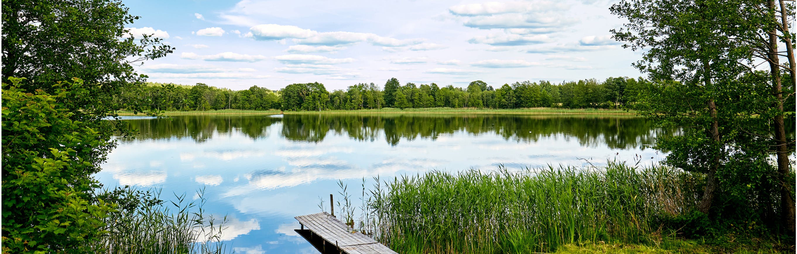 dock on a lake with blue skies and green trees