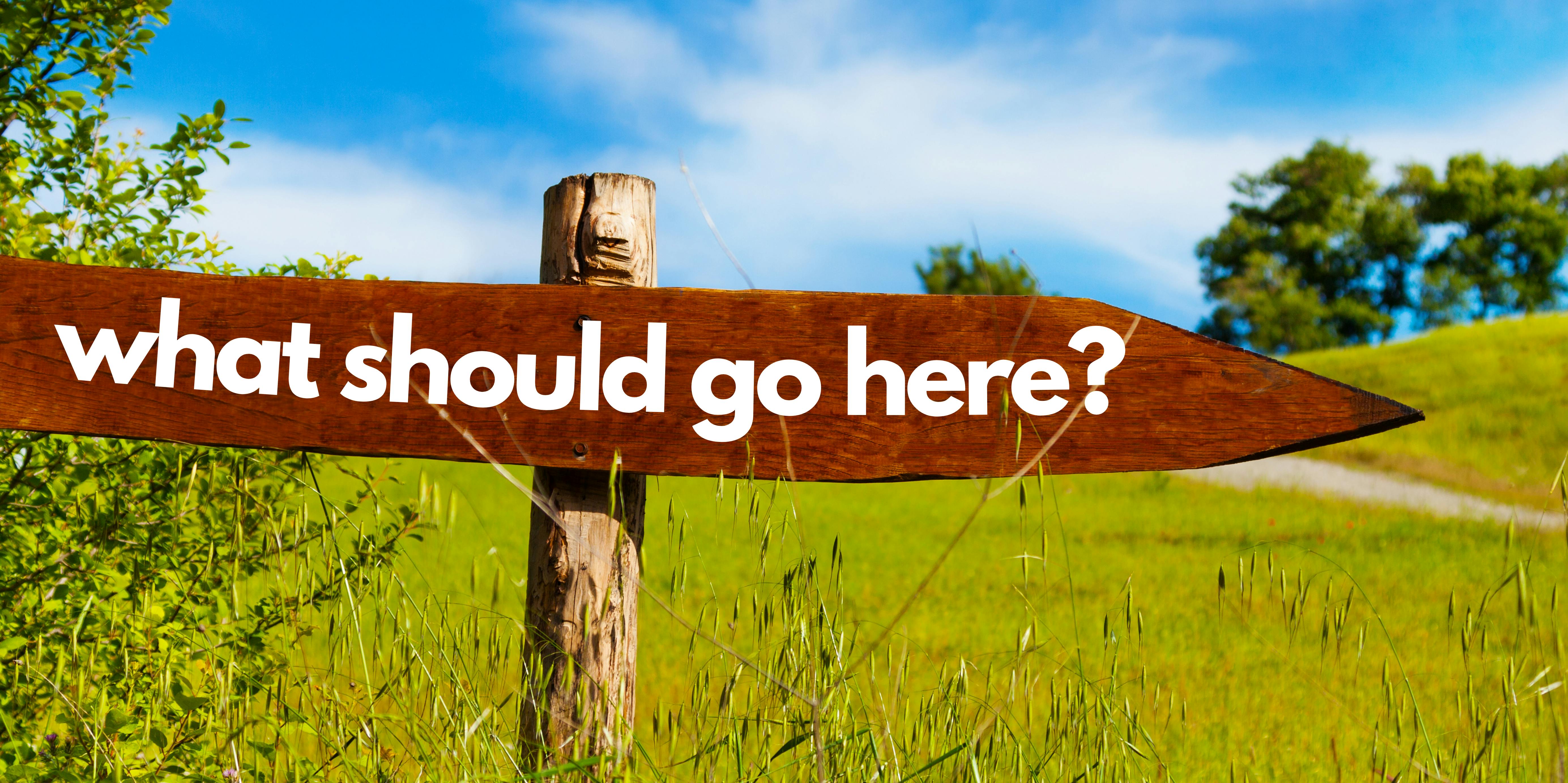 "what should go here?" written on wooden sign in field