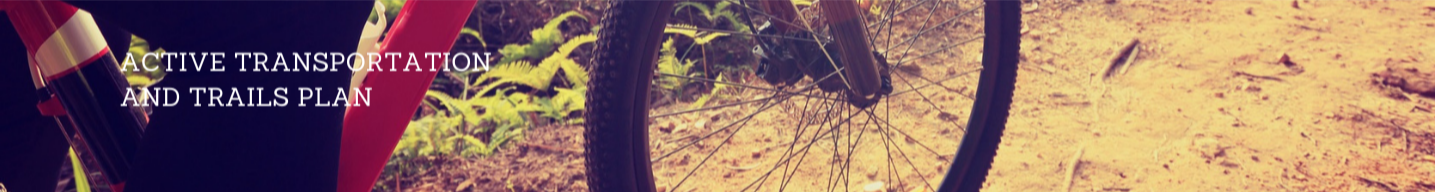 woman using bike on trail