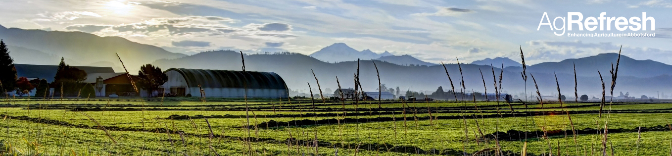 AgRefresh | Stage 3: Draft Policy & Regulation