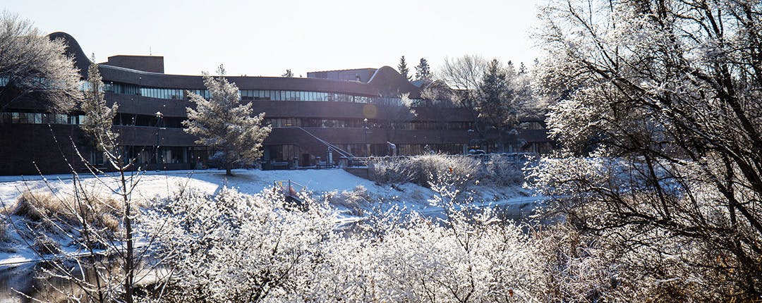 North side of St. Albert Place along the Sturgeon River with snow on the ground and hoarfrost on the trees