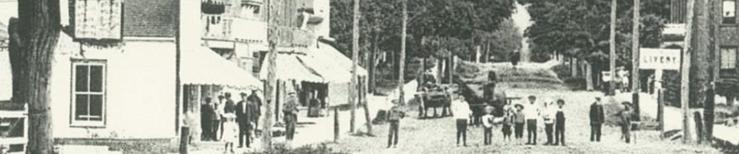 Old black and white photo of Main Street Wellington with horse-drawn carriages and a group of people standing in the street.