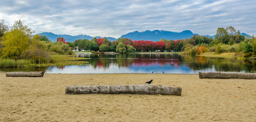 View of Trout Lake facing north with mountains in background and sandy beach in foreground