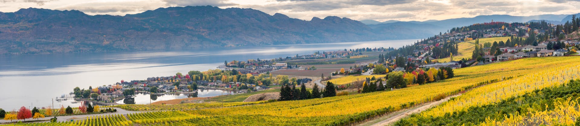 Image of West Kelowna landscape