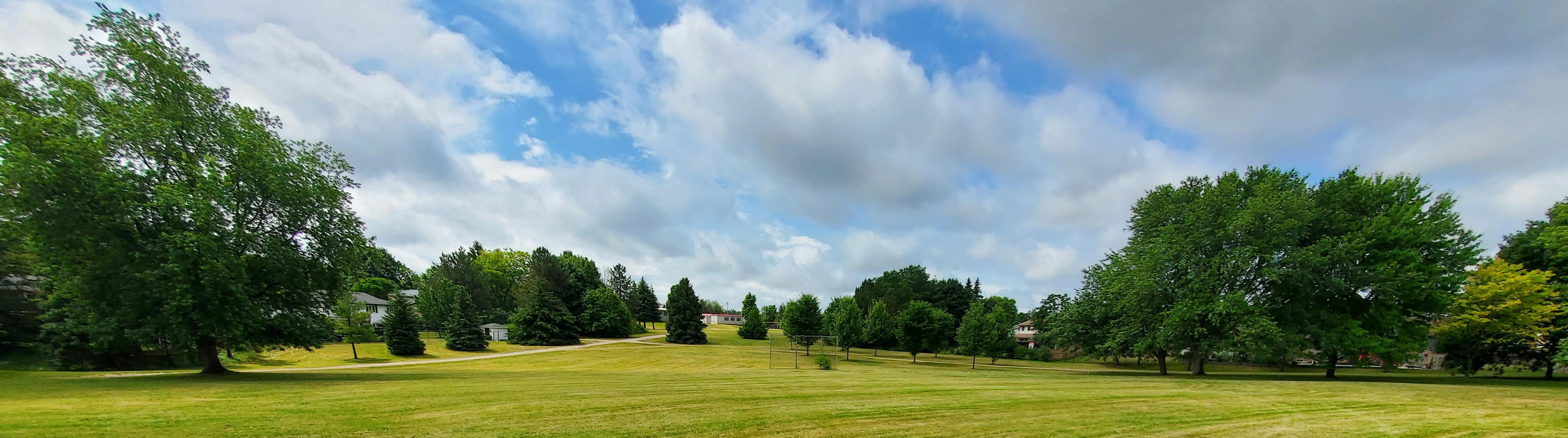 Field with trees, path, blue sky and clouds in distance. A few houses can be seen beyond the trees. 