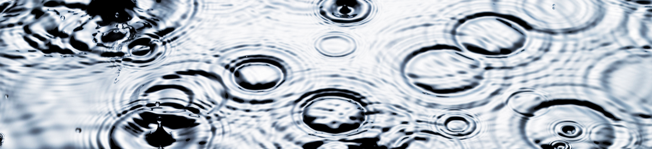 project banner