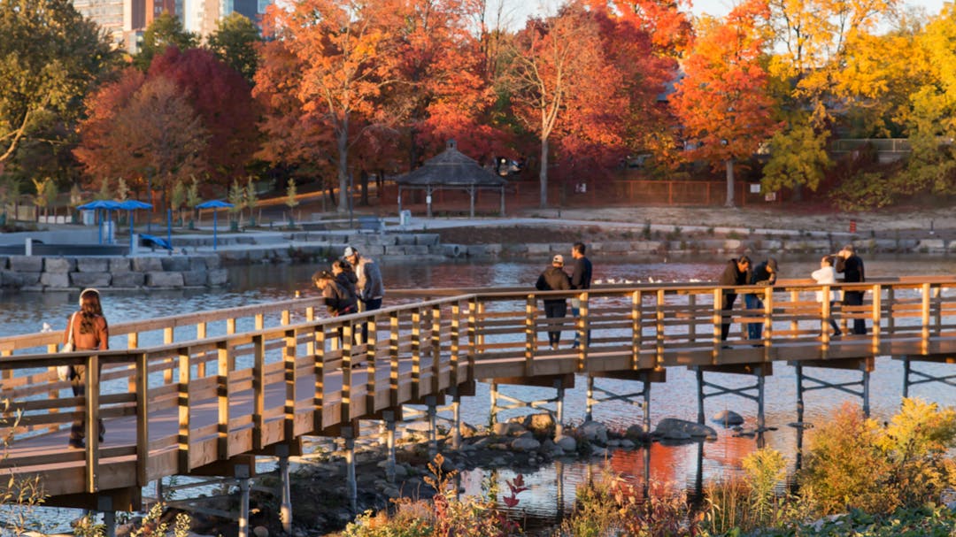 Image of people standing on the Silver Lake boardwalk with fall trees and buildings in the background.