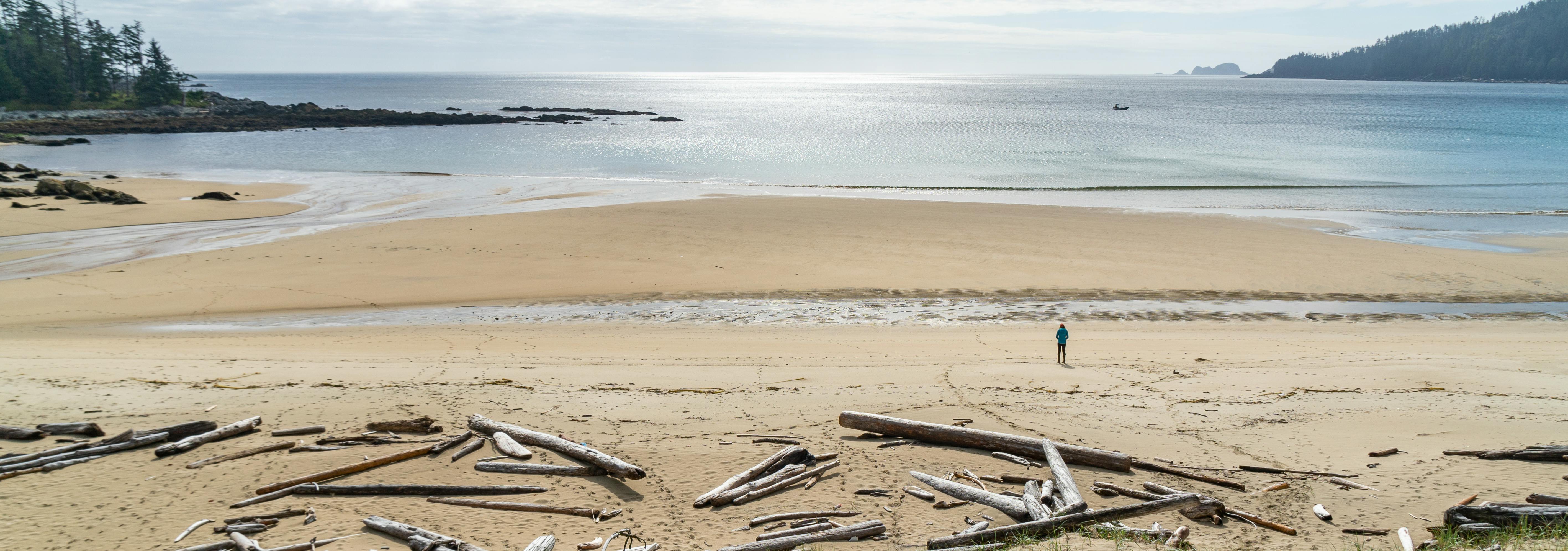 Un visiteur se tient sur la plage de la baie Woodruff, dans la réserve de parc national Gwaii Haanas