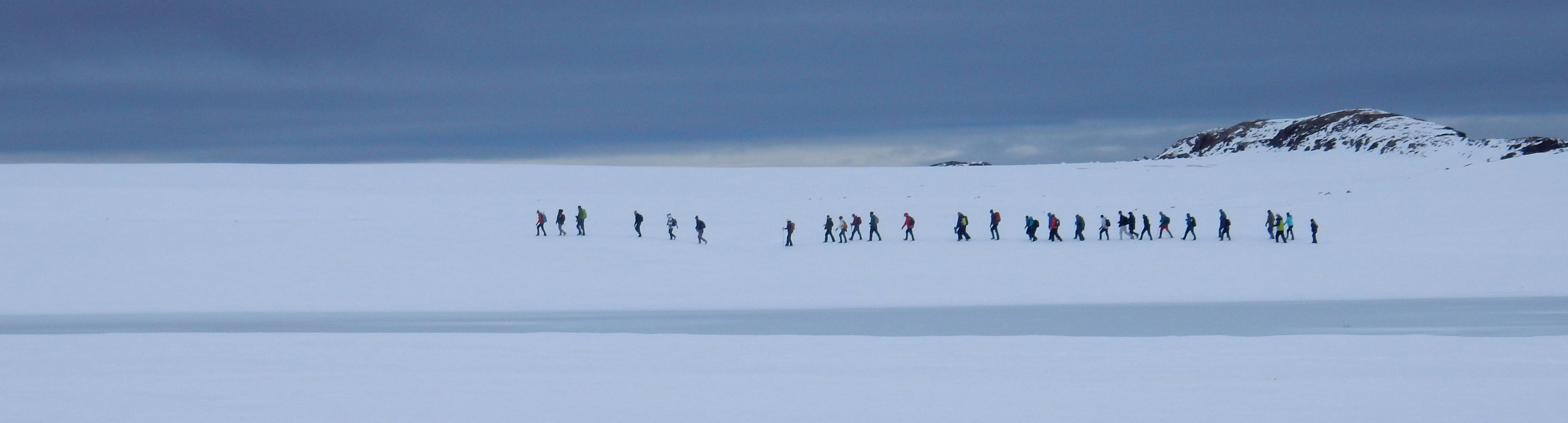 A group of twenty-eight visitors traverse sea ice at Tay Bay in Tallurutiup Imanga National Marine Conservation Area