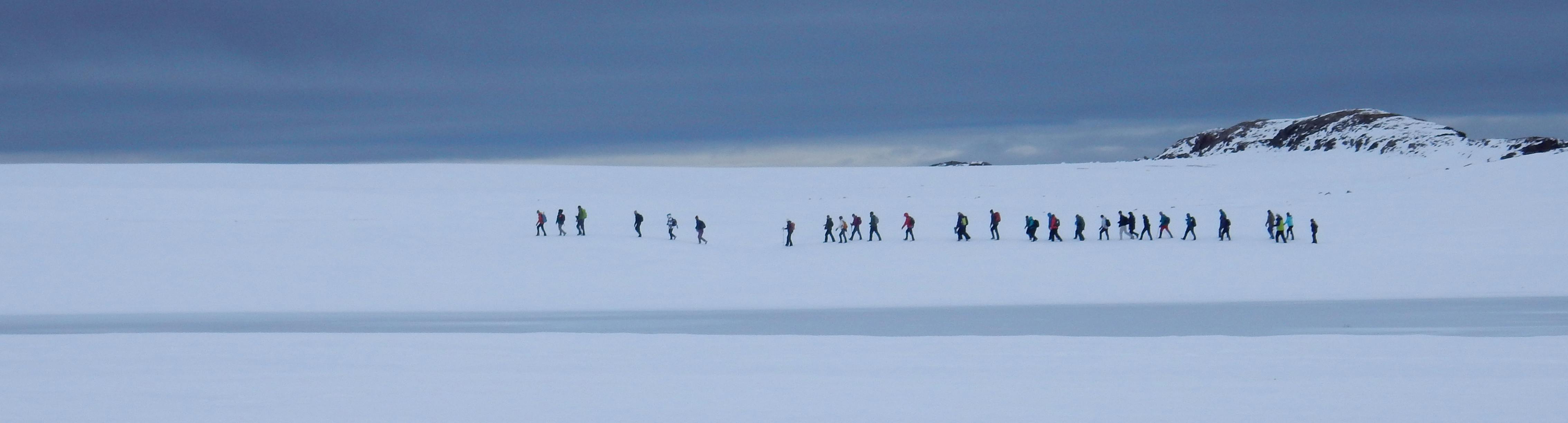A group of twenty-eight visitors traverse sea ice at Tay Bay in Tallurutiup Imanga National Marine Conservation Area