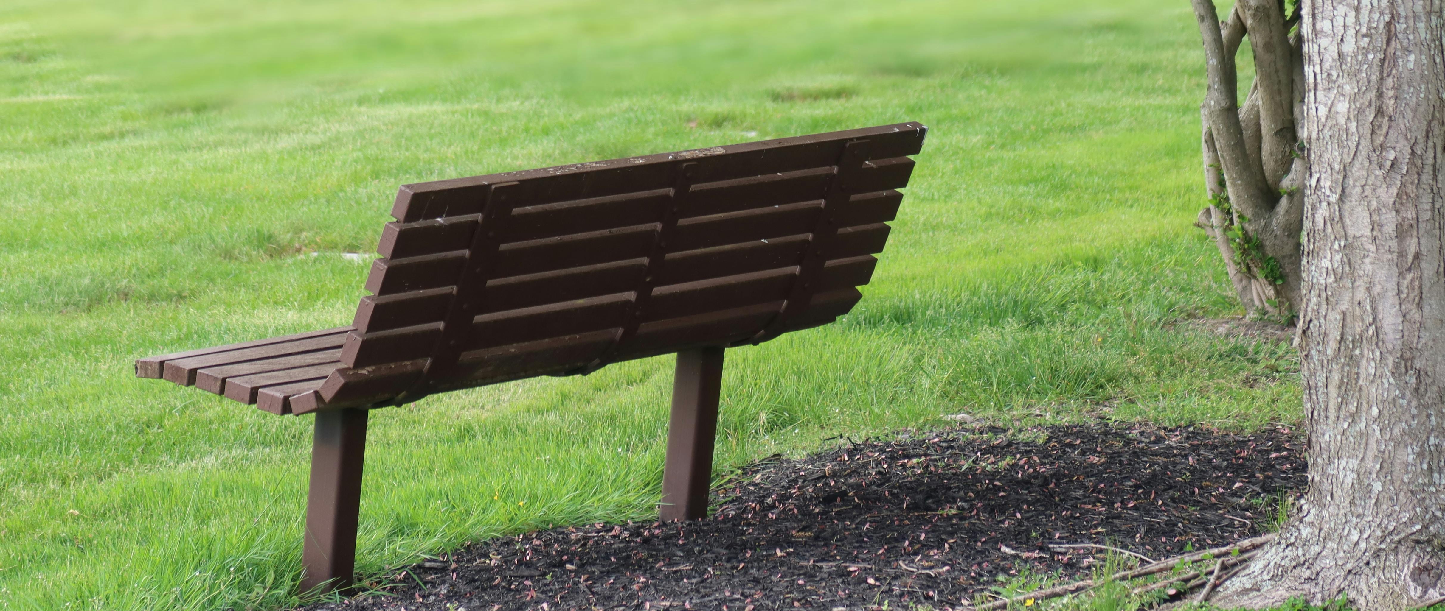 A bench in a park next to a tree.