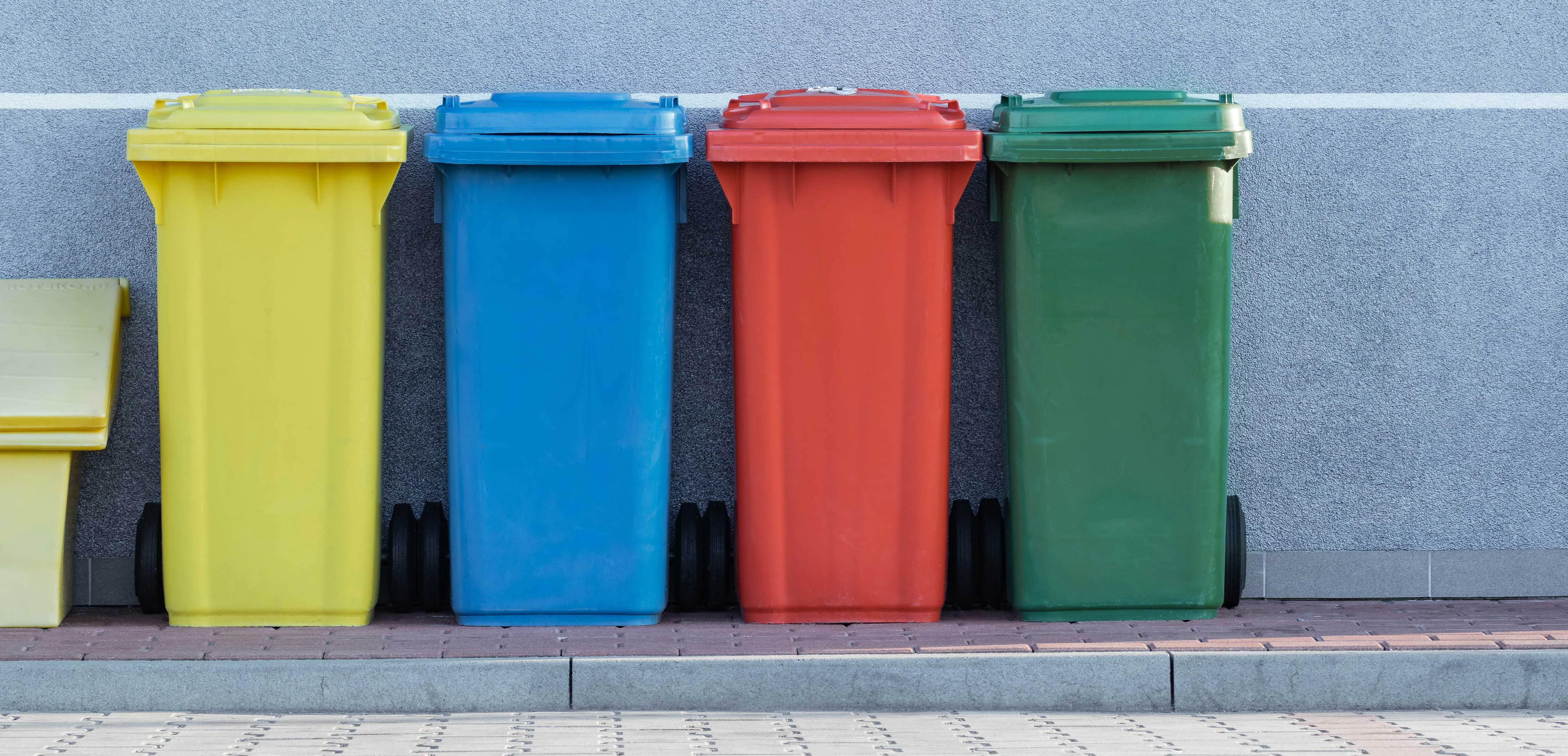 Poubelles de différentes couleurs alignées sur un trottoir