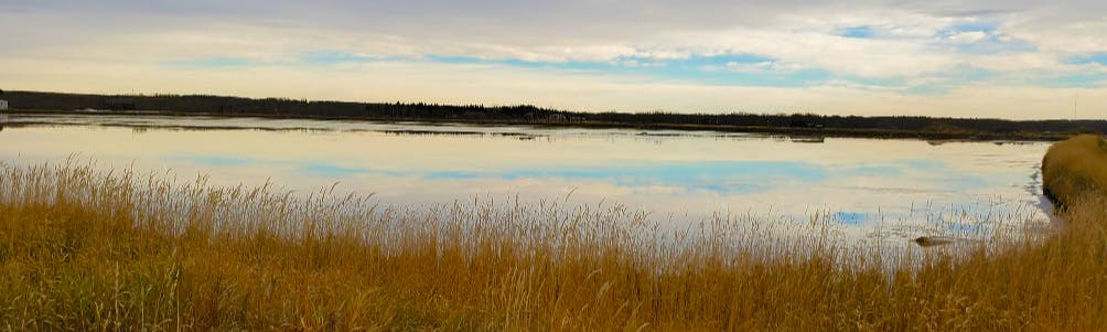 Sylvan Lake Sewage Lagoon