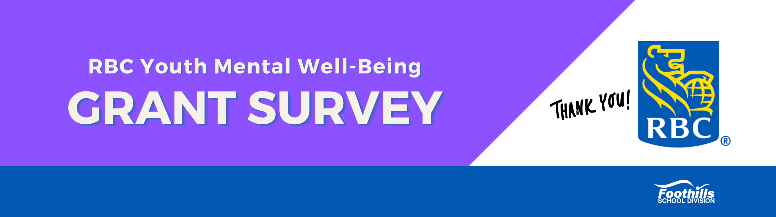 RBC Youth Mental Well-Being Grant Report RBC Logo, FSD logo