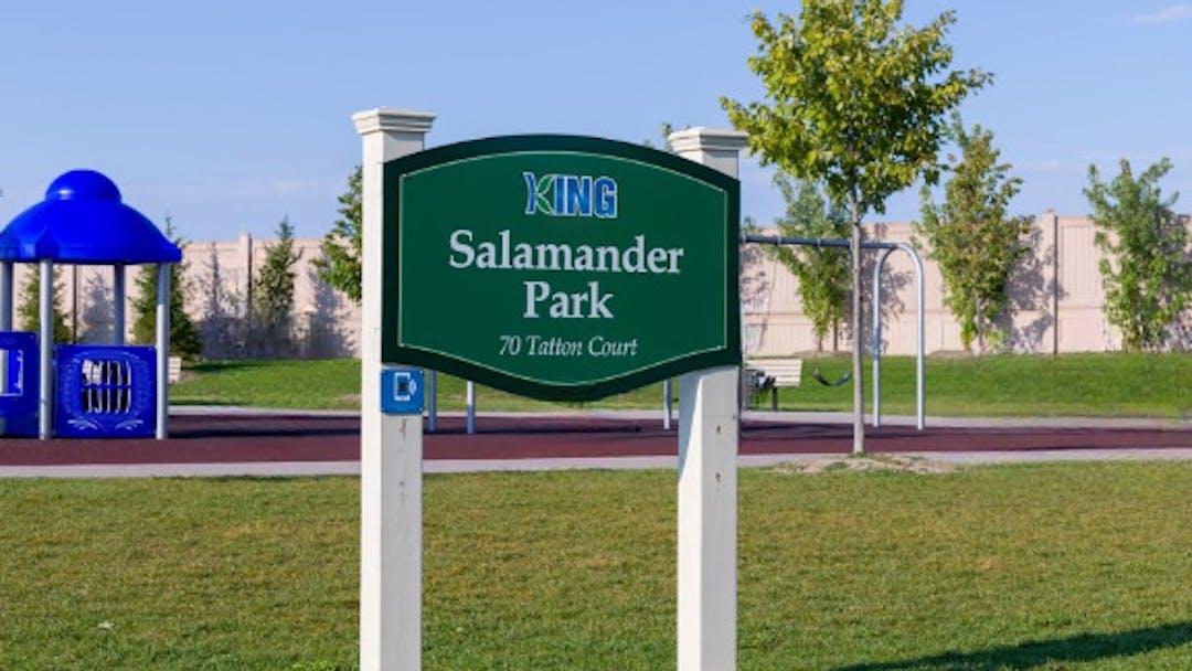Salamander Park