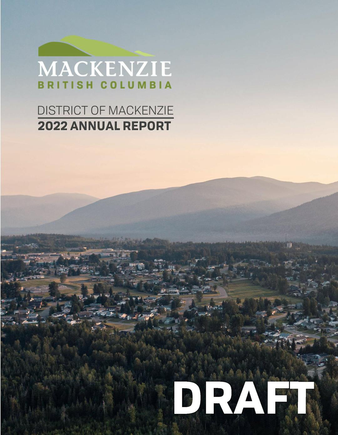 2022 Annual Report (DRAFT)