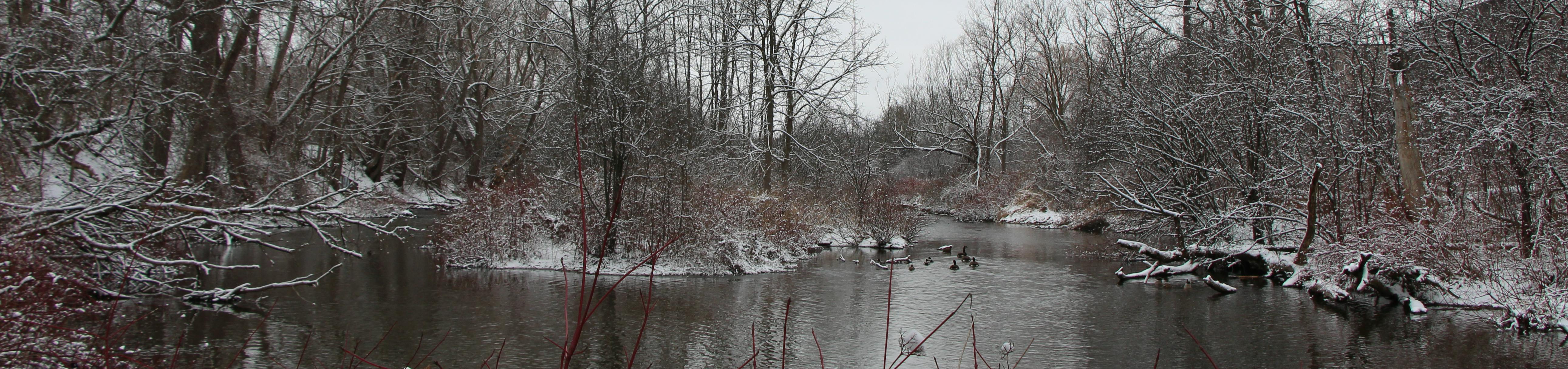 A winter view of the river valley between Emma and Earl streets. Proposed location of the bridge. 