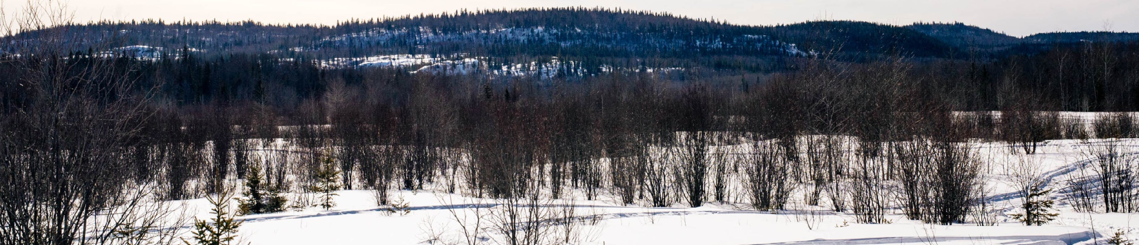 Visite du site du projet minier Wasamac par des membres du voisinage