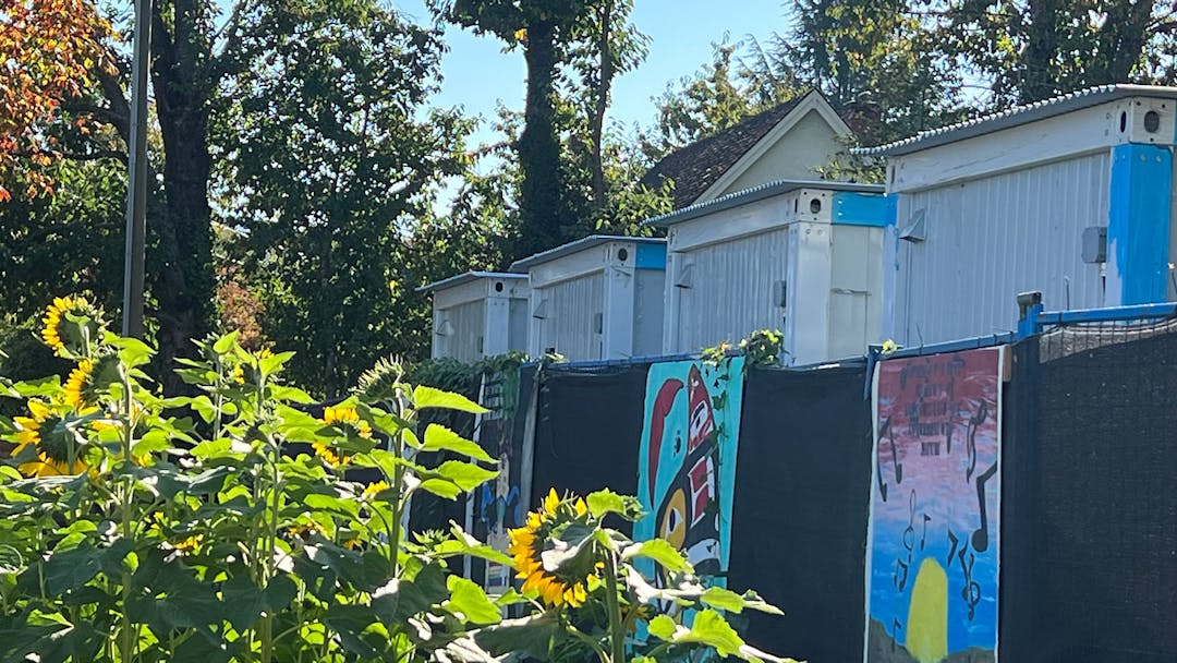 Daffodils in the foreground with a fence with colourful images draped over them with white buildings behind