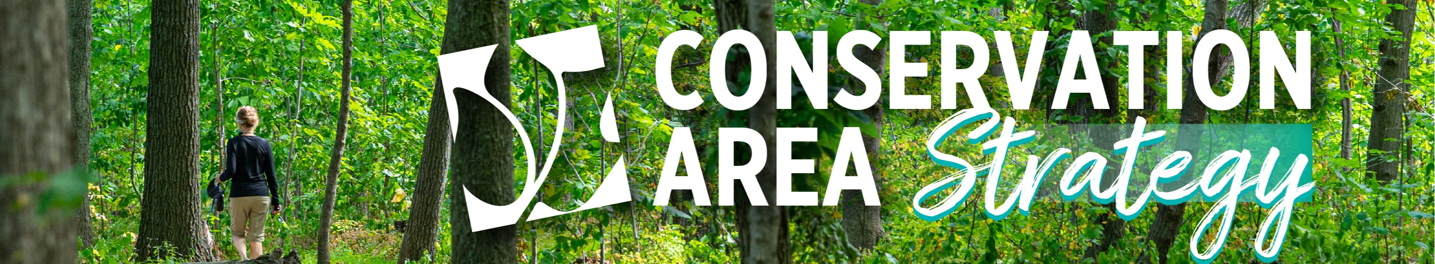 St Johns Conservation Area pond surrounded by green trees with strat plan logo on the left in blue and white