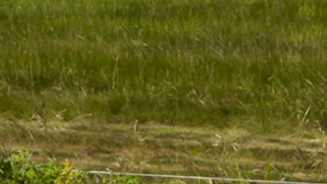 A farmers field near the area of Bessborough BC